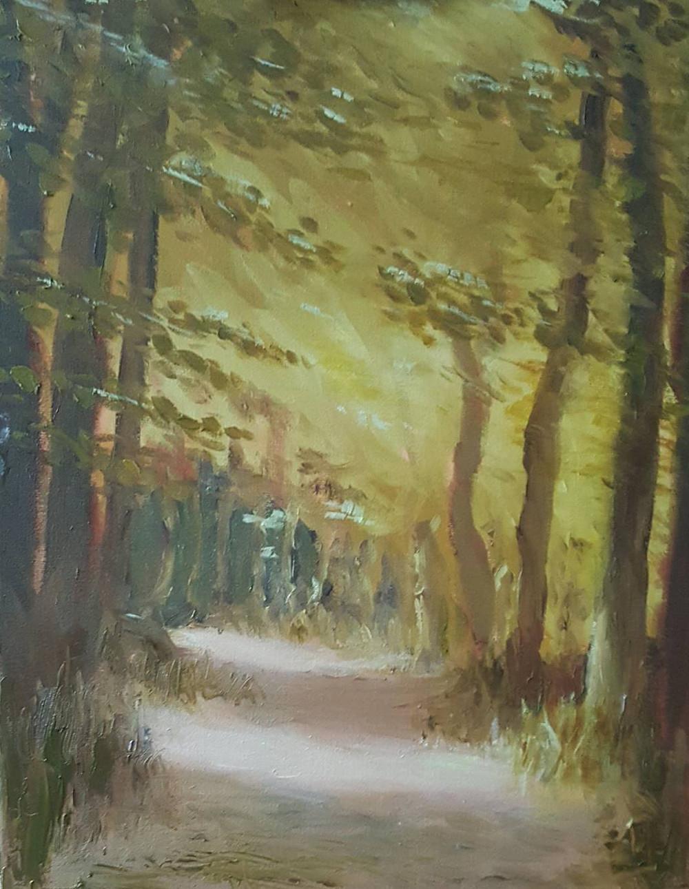 Forest Path